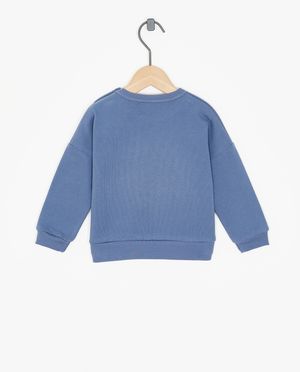Sweaters - Blauwe sweater met print