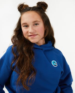 Sweats - Sweat bleu avec un &eacute;cusson