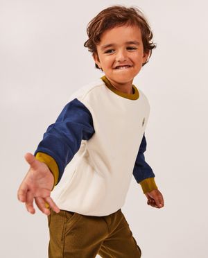 Sweaters - Sweater met color block