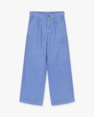 Broeken - Blauwe broek van ribfluweel