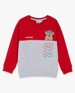 Sweaters - Sweater met PAW Patrol-print