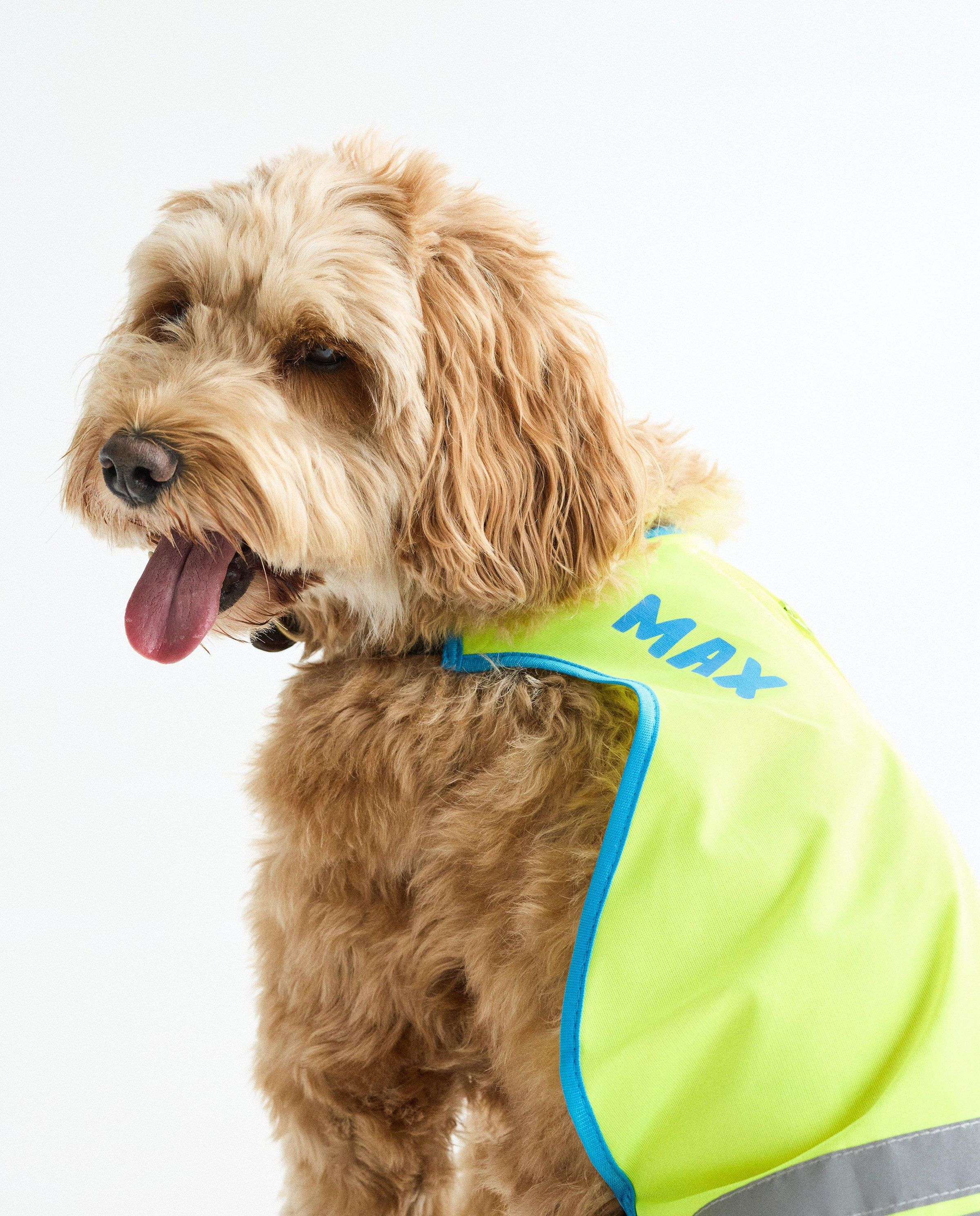 Personaliseerbaar fluohesje, honden - Studio Unique