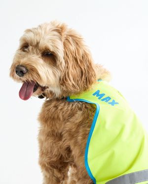 Personaliseerbaar fluohesje, honden - Studio Unique