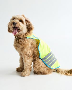 Cardigans - Gilet fluo personnalisable, chiens