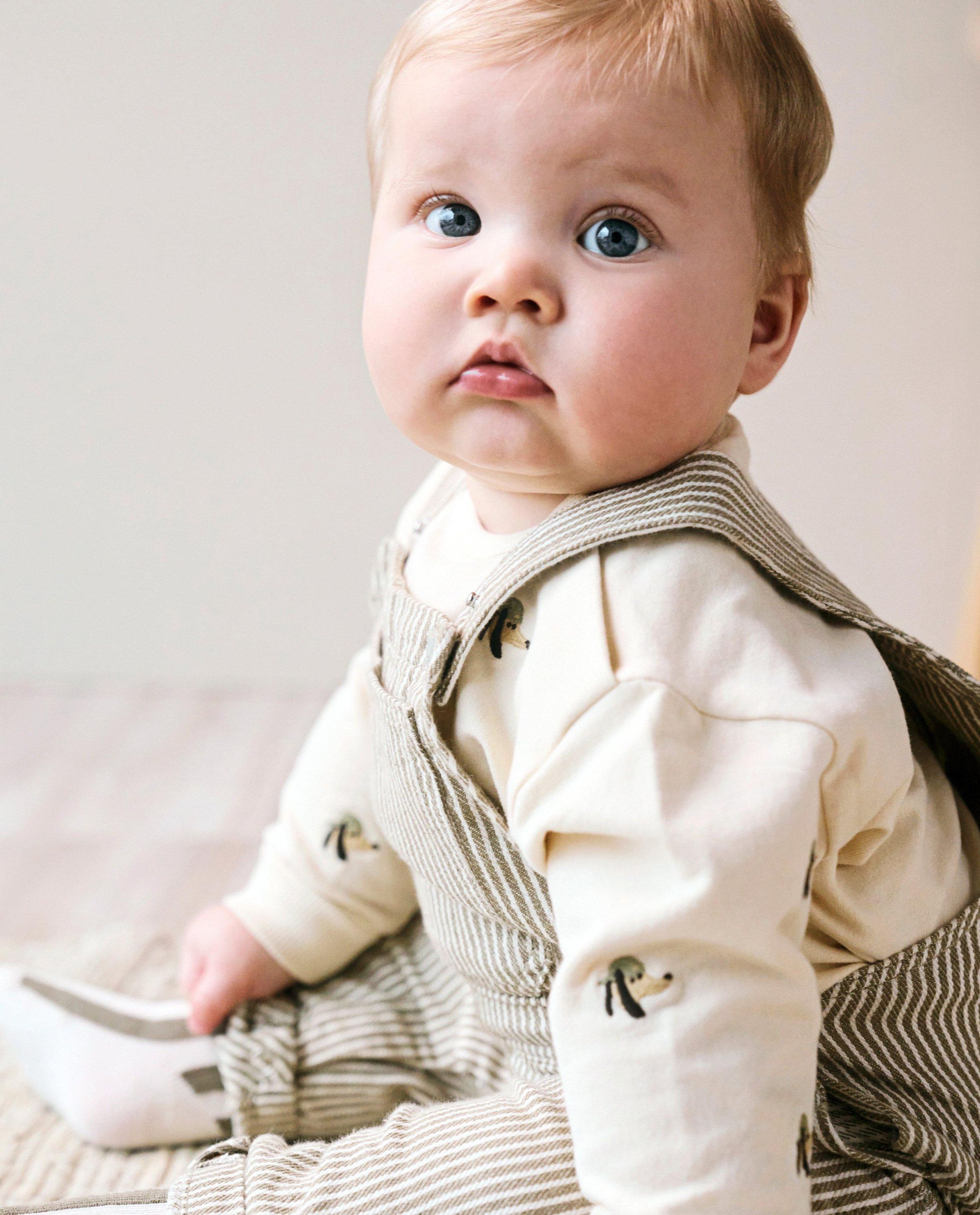 Sweater met geborduurde hondjes - Cuddles and Smiles