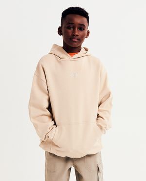 Hoodie met backprint, loose fit - Waiko