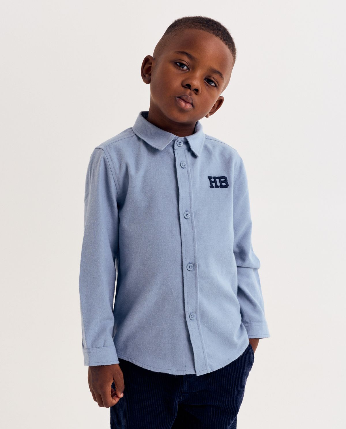Blauw hemd, regular fit