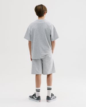 Shorten - Grijze short