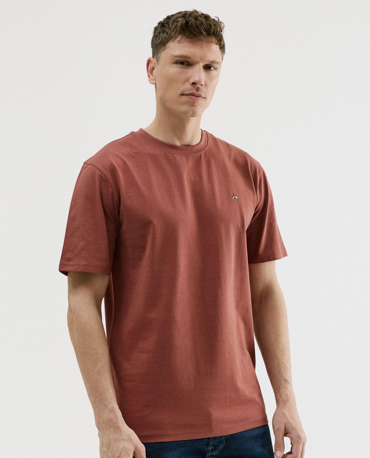T-shirt met geborduurd icoon, relaxed fit