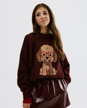 Pull avec imprim&eacute; chien
