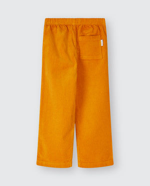 Pantalons - Pantalon en velours c&ocirc;tel&eacute;