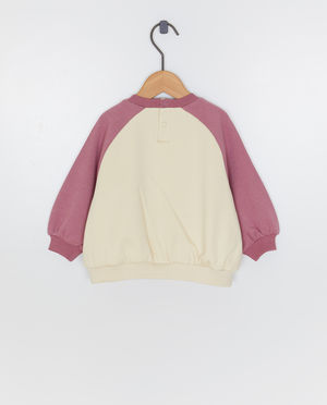 Sweaters - Sweater met color block