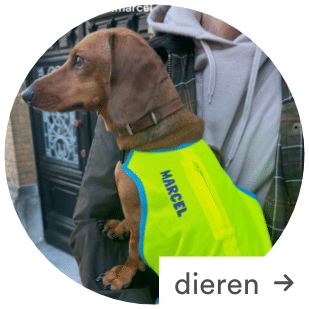 Personaliseer je items met JBC