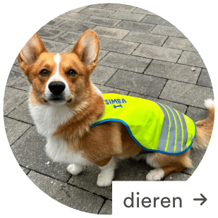 Personaliseer je items met JBC