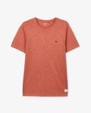terracotta