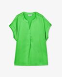vert vif