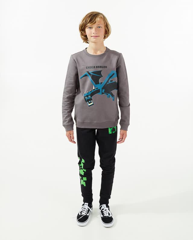 Grijze sweater met Ender Dragon - Video - grijs - thumbnail nummer 2